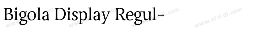 Bigola Display Regul字体转换